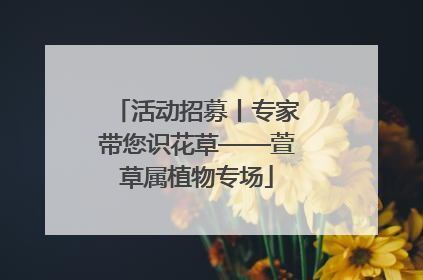 活动招募丨专家带您识花草——萱草属植物专场
