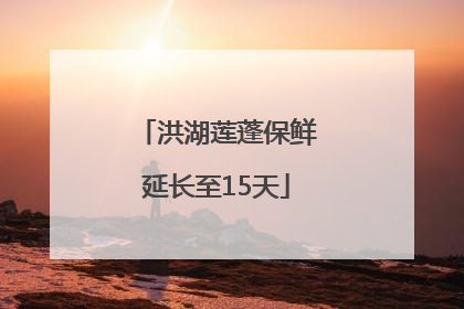 洪湖莲蓬保鲜延长至15天