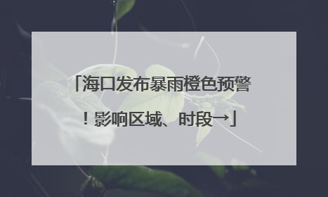 海口发布暴雨橙色预警！影响区域、时段→
