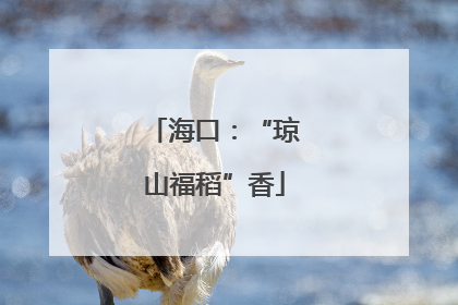 海口：“琼山福稻”香
