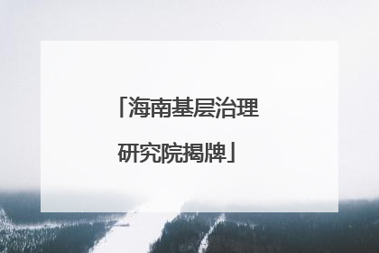 海南基层治理研究院揭牌