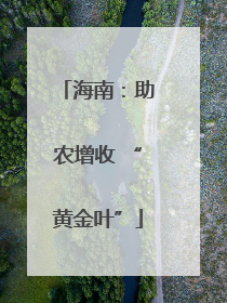 海南：助农增收 “黄金叶”