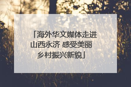 海外华文媒体走进山西永济 感受美丽乡村振兴新貌