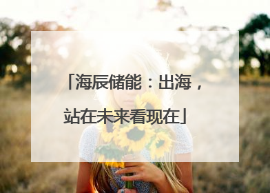 海辰储能：出海，站在未来看现在