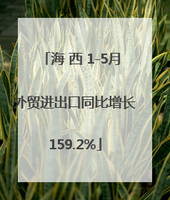 海 西 1-5月外贸进出口同比增长159.2%