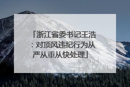 浙江省委书记王浩：对顶风违纪行为从严从重从快处理