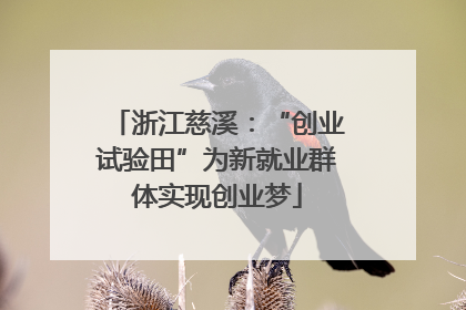 浙江慈溪：“创业试验田”为新就业群体实现创业梦
