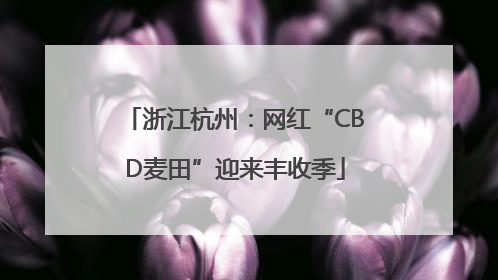 浙江杭州：网红“CBD麦田”迎来丰收季