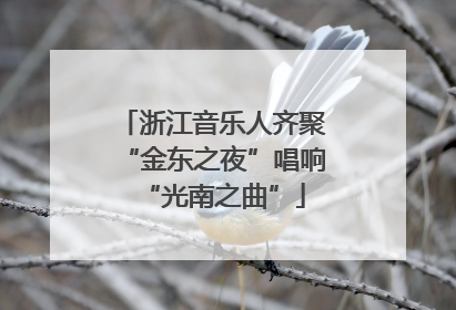 浙江音乐人齐聚“金东之夜”唱响“光南之曲”