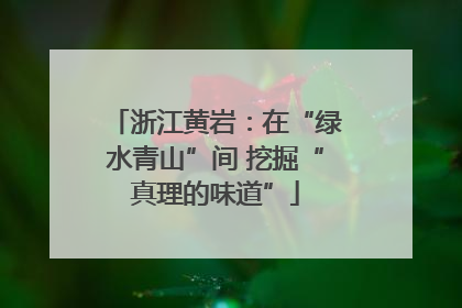 浙江黄岩：在“绿水青山”间 挖掘“真理的味道”