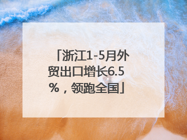 浙江1-5月外贸出口增长6.5%，领跑全国