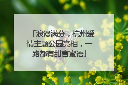 浪漫满分，杭州爱情主题公园亮相，一路都有甜言蜜语