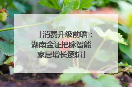 消费升级前瞻：湖南金证把脉智能家居增长逻辑