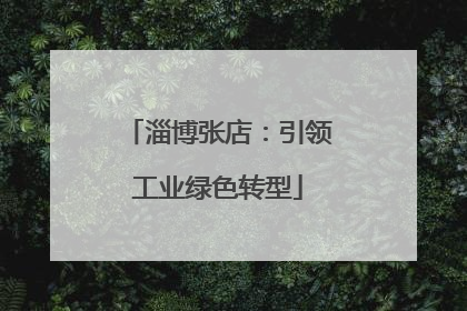 淄博张店：引领工业绿色转型
