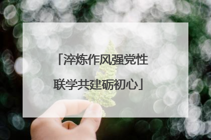 淬炼作风强党性 联学共建砺初心
