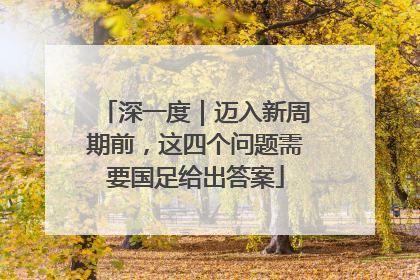 深一度｜迈入新周期前，这四个问题需要国足给出答案