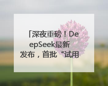 深夜重磅！DeepSeek最新发布，首批“试用体验”出炉→