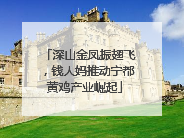 深山金凤振翅飞，钱大妈推动宁都黄鸡产业崛起