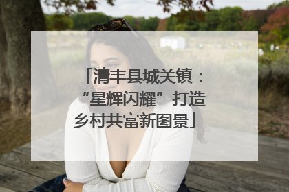 清丰县城关镇：“星辉闪耀”打造乡村共富新图景
