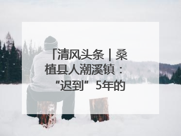 清风头条｜桑植县人潮溪镇：“迟到”5年的生态林补偿金