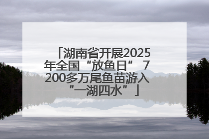 湖南省开展2025年全国“放鱼日” 7200多万尾鱼苗游入“一湖四水”