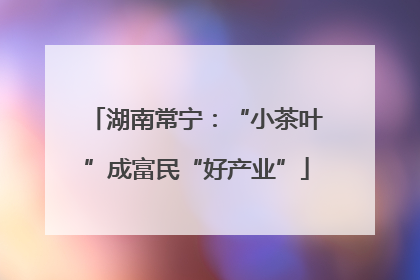 湖南常宁：“小茶叶”成富民“好产业”