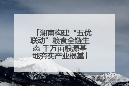 湖南构建“五优联动”粮食全链生态 千万亩粮源基地夯实产业根基