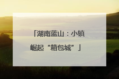 湖南蓝山：小镇崛起“箱包城”