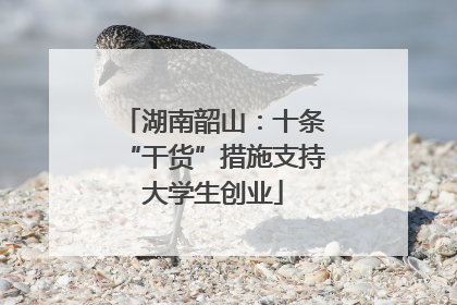 湖南韶山：十条“干货”措施支持大学生创业