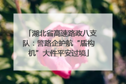 湖北省高速路政八支队：警路企护航“盾构机”大件平安过境