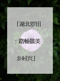 湖北罗田：路畅景美乡村兴