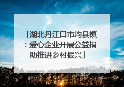 湖北丹江口市均县镇：爱心企业开展公益捐助推进乡村振兴