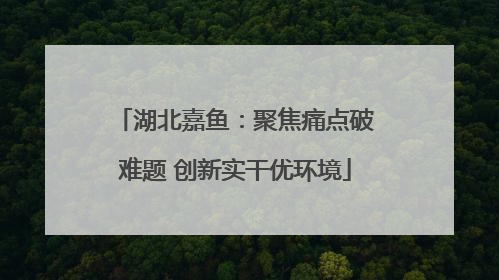 湖北嘉鱼：聚焦痛点破难题 创新实干优环境