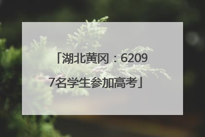 湖北黄冈：62097名学生参加高考