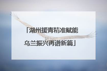 湖州援青精准赋能 乌兰振兴再谱新篇