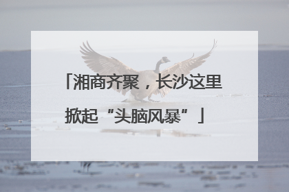 湘商齐聚，长沙这里掀起“头脑风暴”