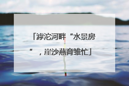 滹沱河畔“水景房”，崖沙燕育雏忙