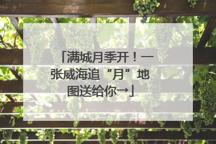 满城月季开！一张威海追“月”地图送给你→