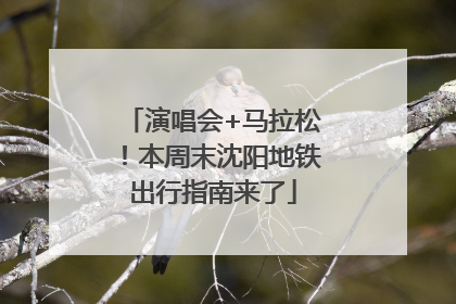 演唱会+马拉松！本周末沈阳地铁出行指南来了