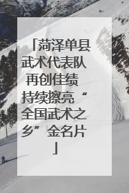 菏泽单县武术代表队再创佳绩 持续擦亮“全国武术之乡”金名片