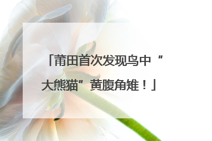 莆田首次发现鸟中“大熊猫”黄腹角雉！