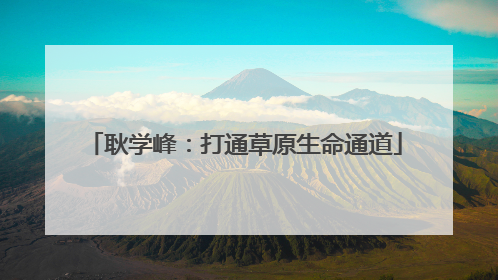 耿学峰：打通草原生命通道
