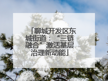 聊城开发区东城街道：“三链融合”激活基层治理新动能