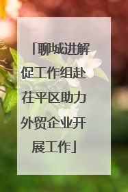 聊城进解促工作组赴茌平区助力外贸企业开展工作