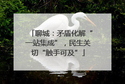 聊城：矛盾化解“一站集成”，民生关切“触手可及”