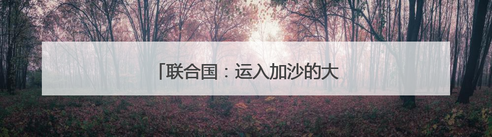联合国：运入加沙的大部分面粉遭劫掠或哄抢