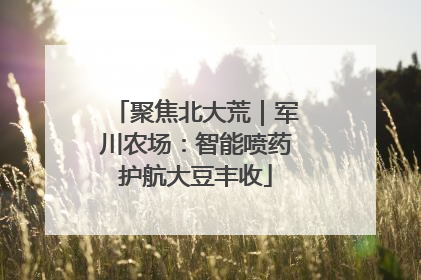 聚焦北大荒｜军川农场：智能喷药护航大豆丰收