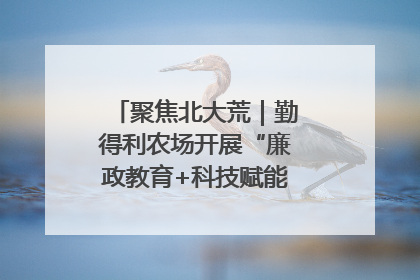 聚焦北大荒｜勤得利农场开展“廉政教育+科技赋能”主题党日活动