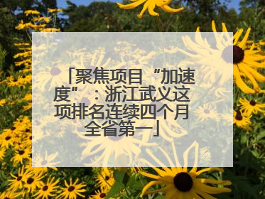 聚焦项目“加速度”：浙江武义这项排名连续四个月全省第一