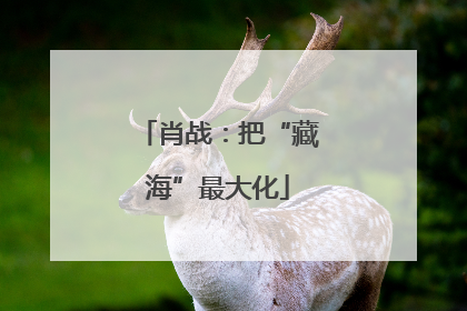 肖战：把“藏海”最大化